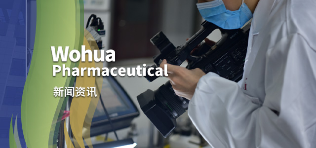 澳宝典资料大全