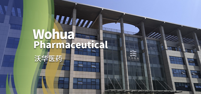 澳宝典资料大全