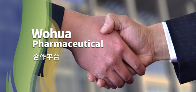 澳宝典资料大全