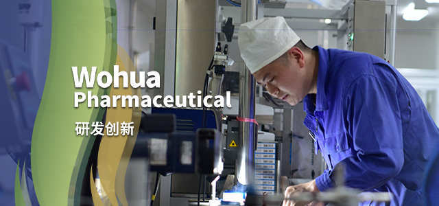 澳宝典资料大全